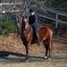 TMO Airman Not Horsing Around