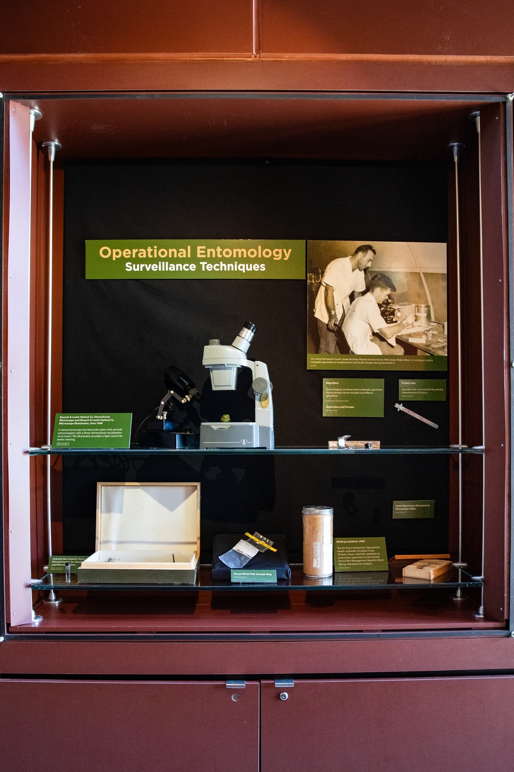 Operational Entomology Exhibit at NMHM