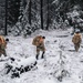 Pre-Team 25-02 performs winter navigation