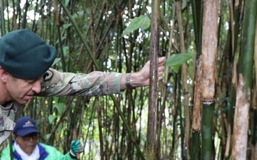 USAG Japan helps local organization harvest bamboo to support preservation of Japan’s culture