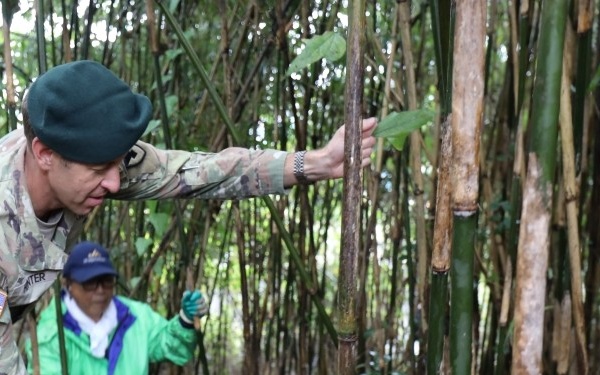 USAG Japan helps local organization harvest bamboo to support preservation of Japan’s culture