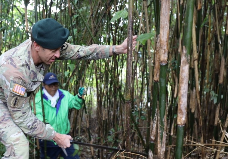 USAG Japan helps local organization harvest bamboo to support preservation of Japan’s culture