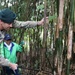 USAG Japan helps local organization harvest bamboo to support preservation of Japan’s culture