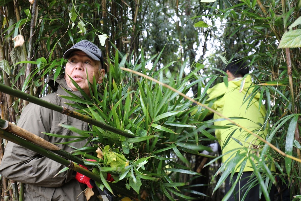 USAG Japan helps local organization harvest bamboo to support preservation of Japan’s culture