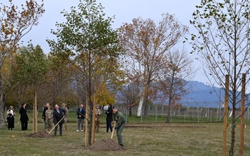 Aviano celebrates Arbor Day