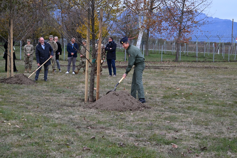 Aviano celebrates Arbor Day