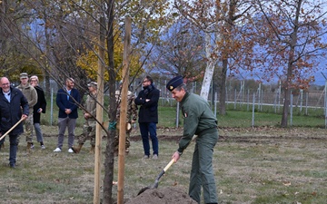 Aviano celebrates Arbor Day