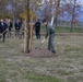 Aviano celebrates Arbor Day