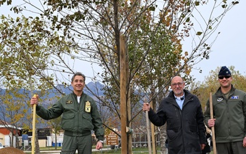 Aviano celebrates Arbor Day