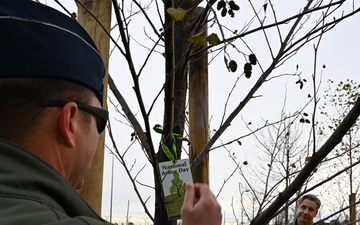 Aviano celebrates Arbor Day