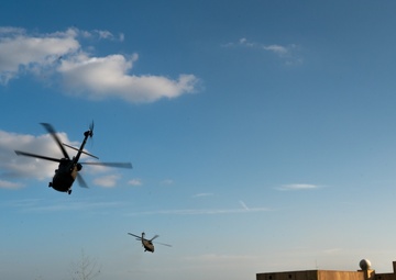 International Defense Collaboration Soars at Exercise Global Eagle