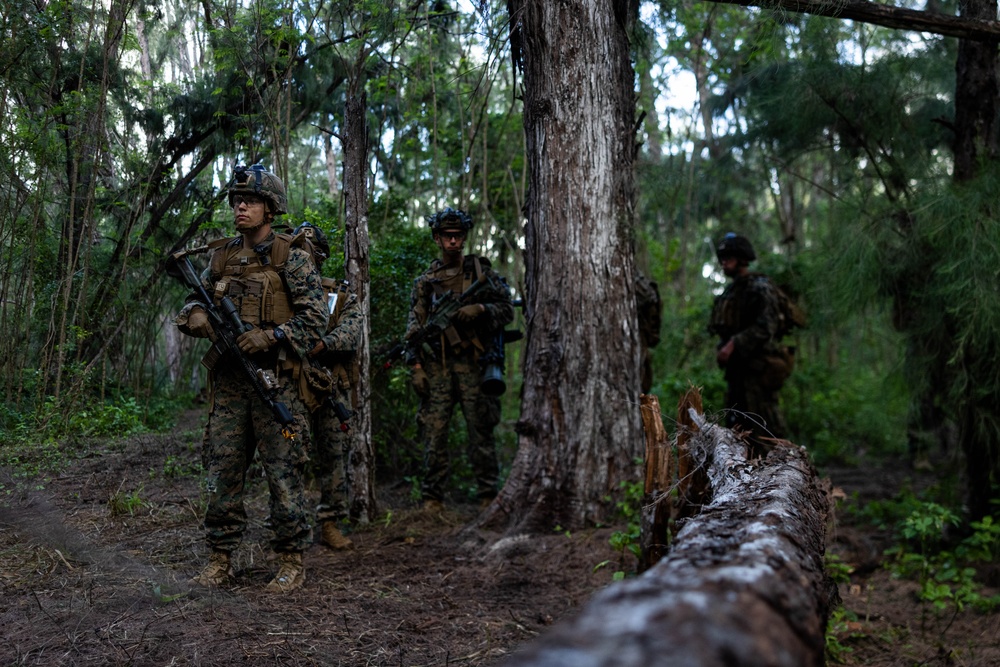 3d LCT conducts platoon attacks at MCTAB