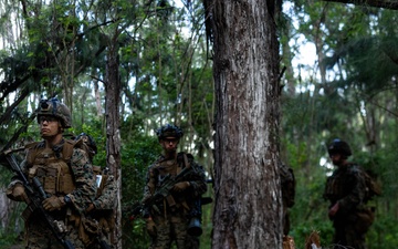 3d LCT conducts platoon attacks at MCTAB