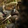 3d LCT conducts platoon attacks at MCTAB 3d LCT conducts platoon attacks at MCTAB