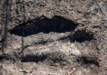 49th CES environmental flight safeguards Holloman natural and cultural resources