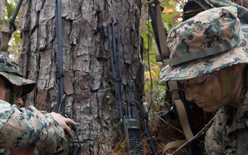 U.S. Marines with MASS-1 conduct small-unit DASC training