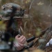 U.S. Marines with MASS-1 conduct small-unit DASC training