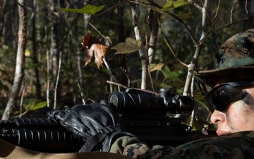 U.S. Marines with MASS-1 conduct small-unit DASC training