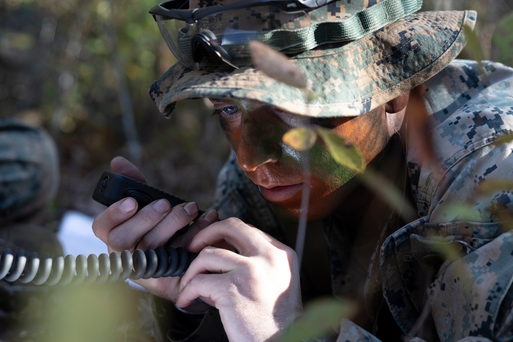 U.S. Marines with MASS-1 conduct small-unit DASC training