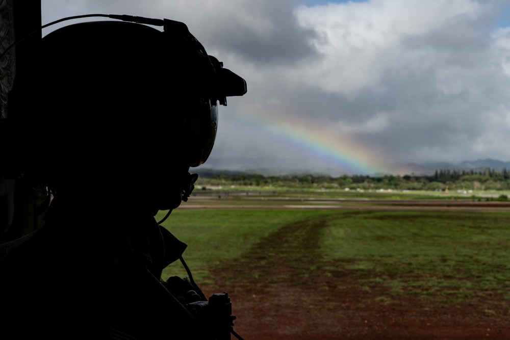 25th CAB Soldiers Conduct DLQs With USS Boxer (LHD 4)