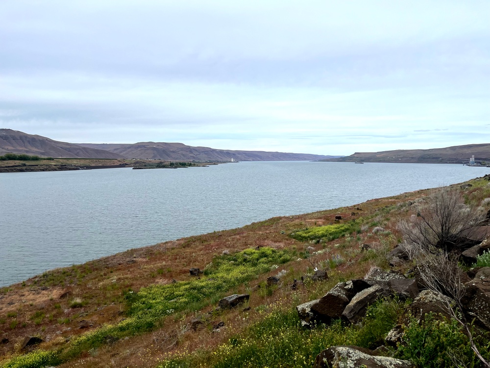 Columbia River views