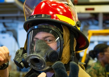 Boxer Tigers explore the world of Damage Control