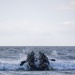 1st Bn., 7th Marines participates in infantry company small boat raid course