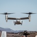 VMM-165 (Rein.) Arrives Home From Deployment