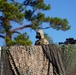 Expeditionary Warfare training onboard Naval Weapons Station Yorktown