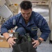 USS George Washington Sailors Maintain Stretcher