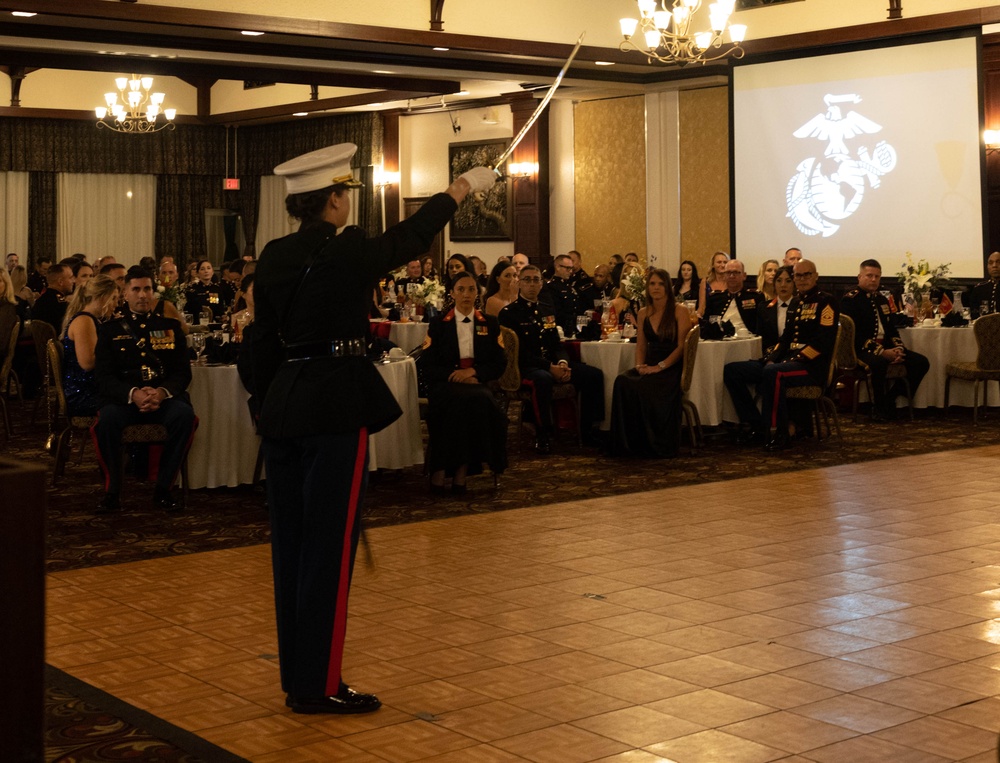 3d Marine Division 249th Birthday Ball
