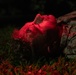 Shika-X 24: 3rd Dental Battalion Conducts Evening Mass Casualty Simulation