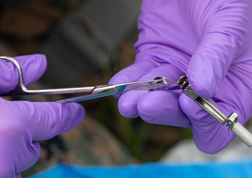 Shika-X 24: 3rd Dental Battalion Conducts Army Go-Pack Training