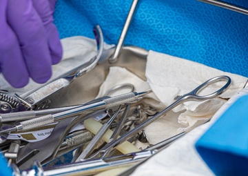 Shika-X 24: 3rd Dental Battalion Conducts Army Go-Pack Training