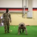 H2F Combat Fitness Assessment