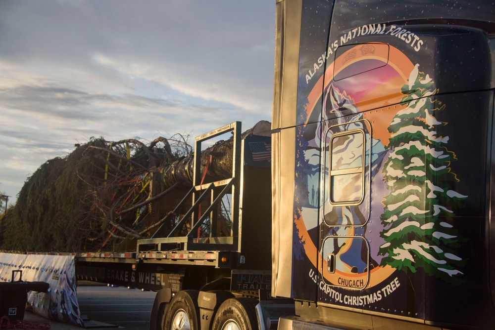 U.S. Capitol Christmas Tree visits Joint Base Andrews