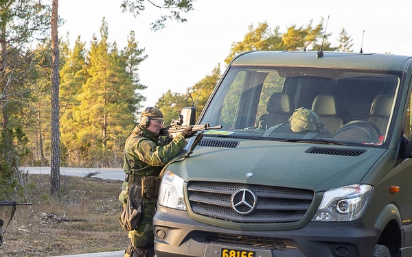 Green Berets Conduct Combat Training With Gotland Home Guard During Adamant Serpent 25