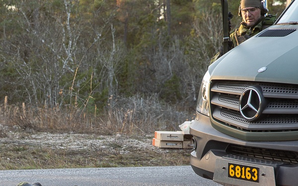 Green Berets Conduct Combat Training With Gotland Home Guard During Adamant Serpent 25