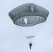 Paratroopers from the 173rd Airborne Brigade conduct a routine jump in Aviano