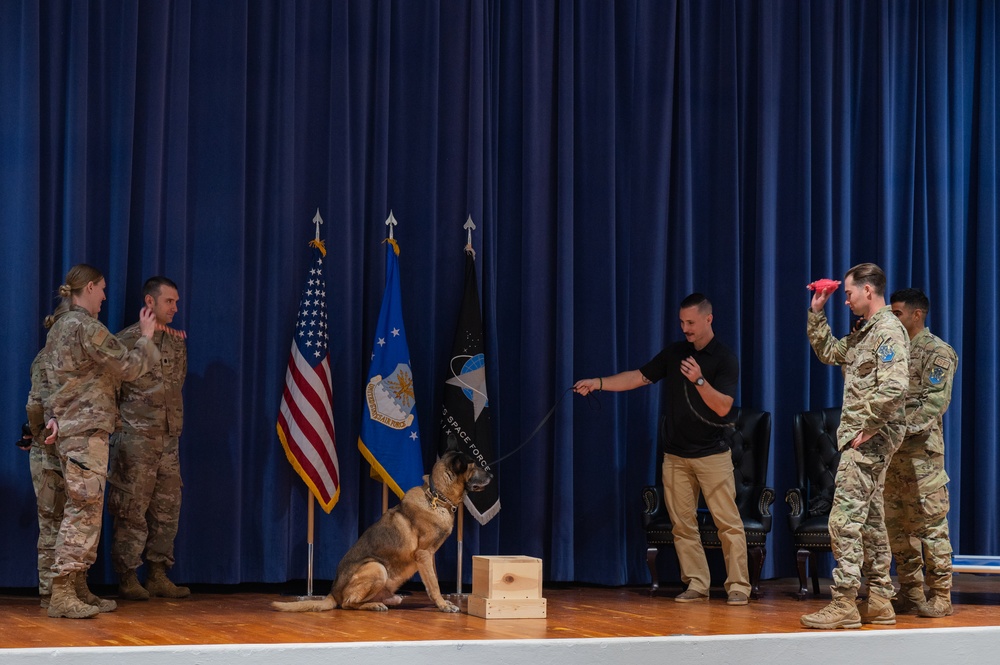 Beloved military working dog Scooby retires to a life of leisure