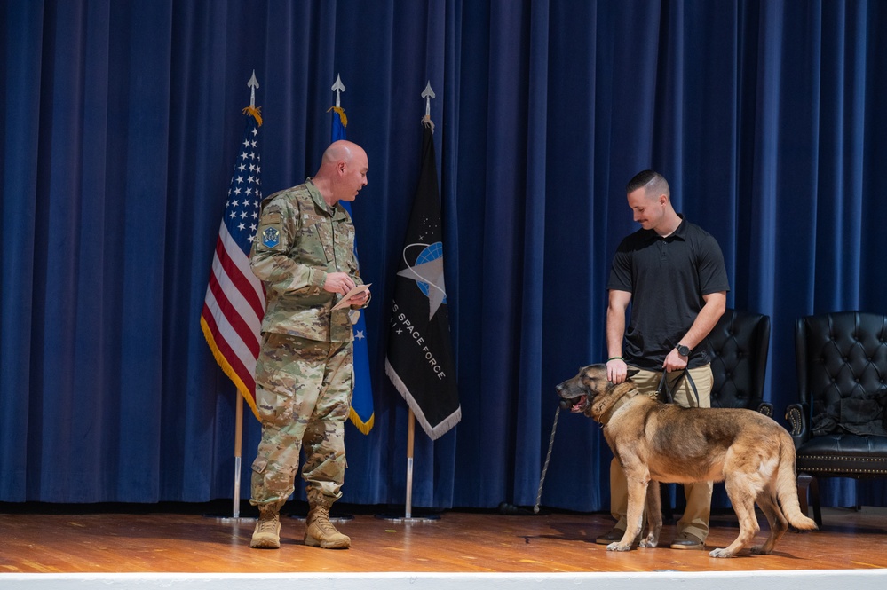 Beloved military working dog Scooby retires to a life of leisure