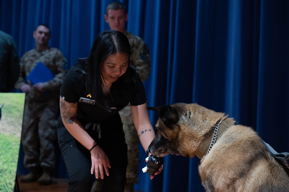 Beloved military working dog Scooby retires to a life of leisure