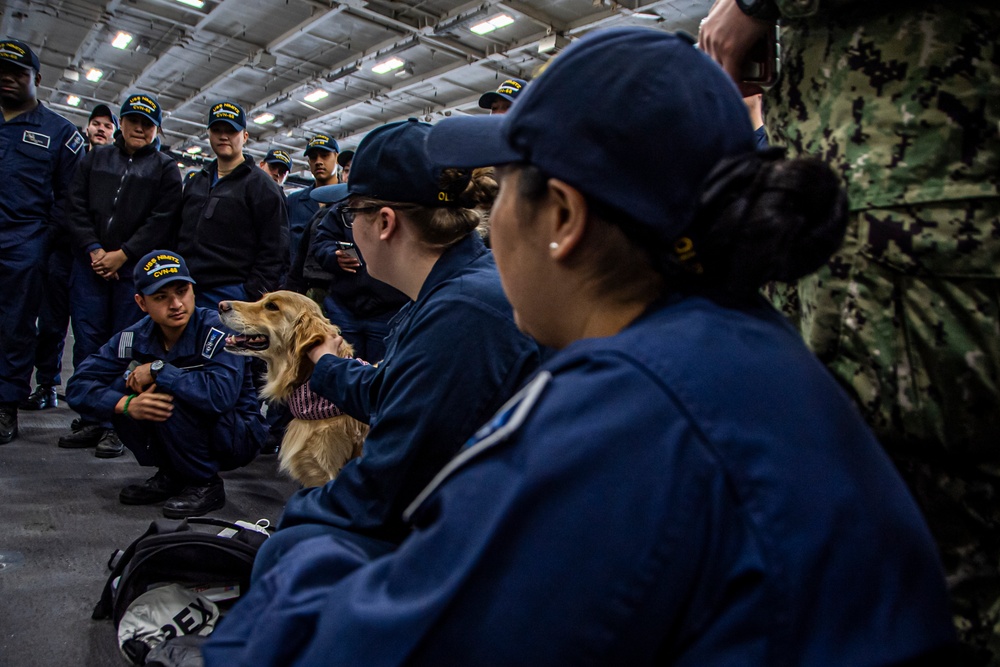 Nimitz Sailors Pet a Dog