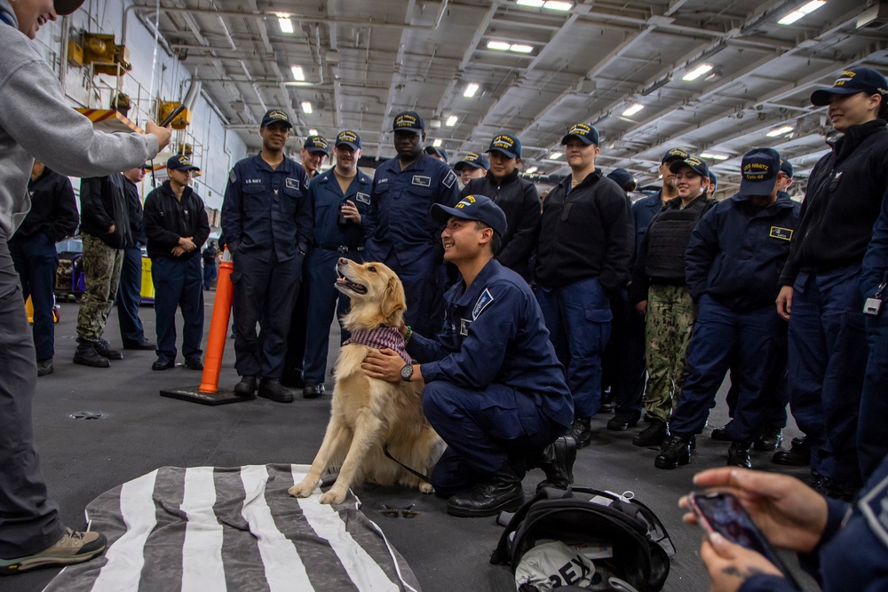 Nimitz Sailors Pet a Dog