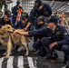 Nimitz Sailors Pet a Dog