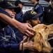 Nimitz Sailors Pet a Dog