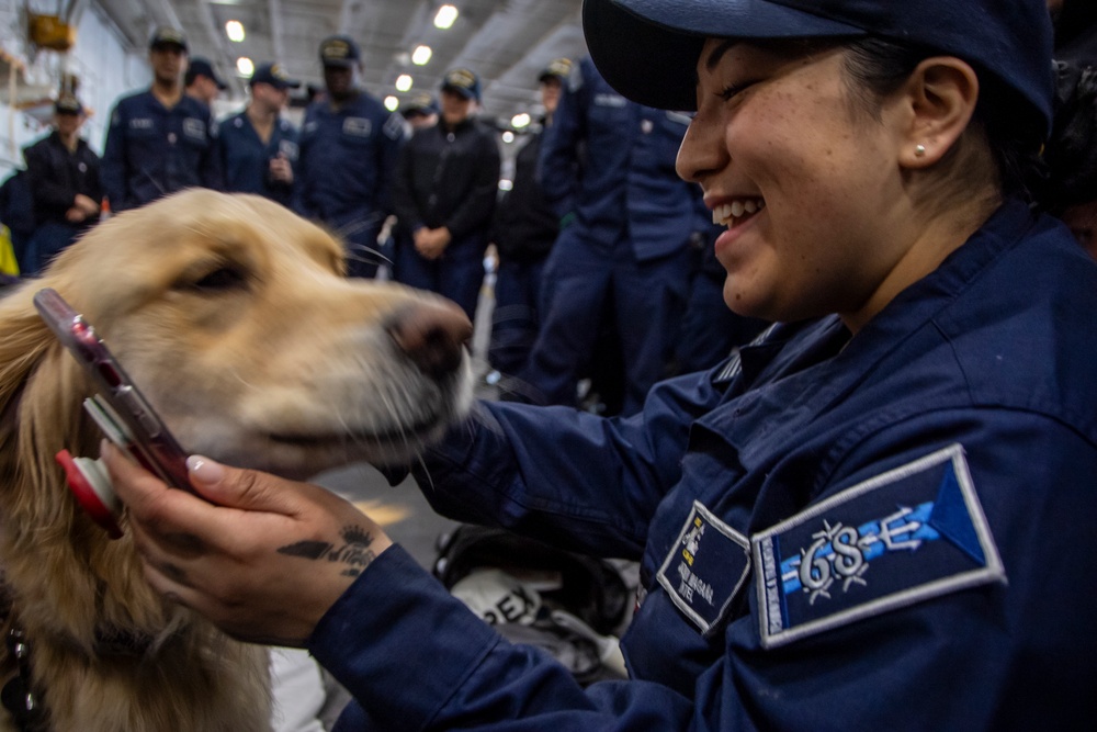 Nimitz Sailors Pet a Dog