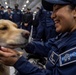 Nimitz Sailors Pet a Dog