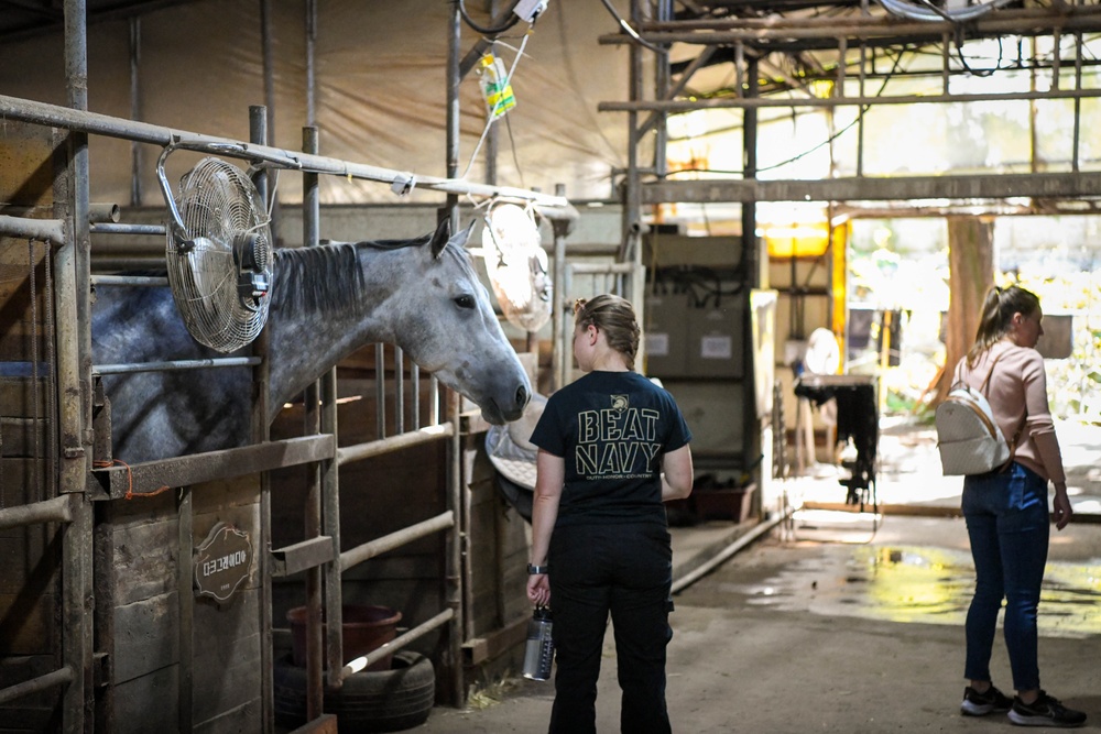 Volunteer Day at Grace Stables Korea