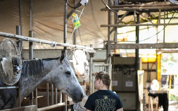 Volunteer Day at Grace Stables Korea